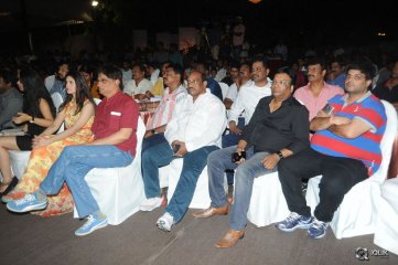 365 Days Movie Audio Launch
